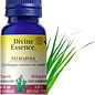 Huile essentielle Palmarosa bio (Cymbopogon martinii var. motia) 15 ml