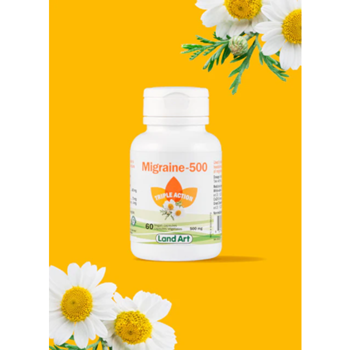 Migraine 500mg 60 gelules