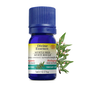 Huile essentielle Myrte Rouge bio (Myrtus communis myrtenylacetatiferum) 5 ml