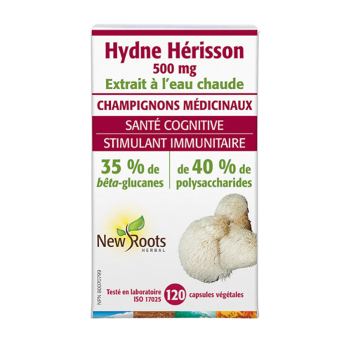 Lion's Mane (Hydne du hérisson)
