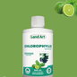 Chlorophylle 500ml