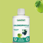 Chlorophylle 500ml