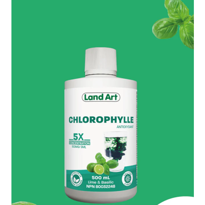 Chlorophylle 5x concentree 500ml