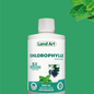 Chlorophylle 5x concentree 500ml