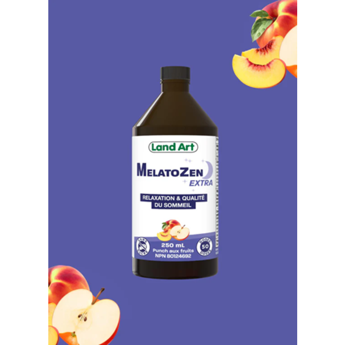 MelatoZen Extra 250ml Punch aux fruits