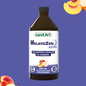 MelatoZen Extra 250ml Punch aux fruits