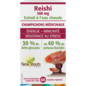 Reishi 500 mg