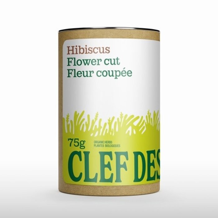 Hibiscus, fleurs coupées