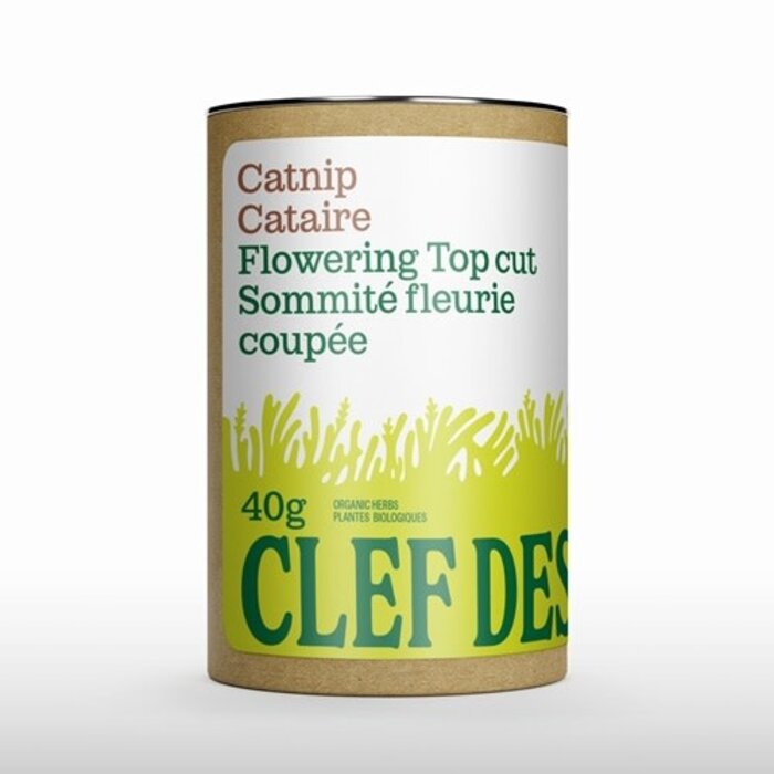 Tube de  Cataire bio, sommité fleurie coupée 40g