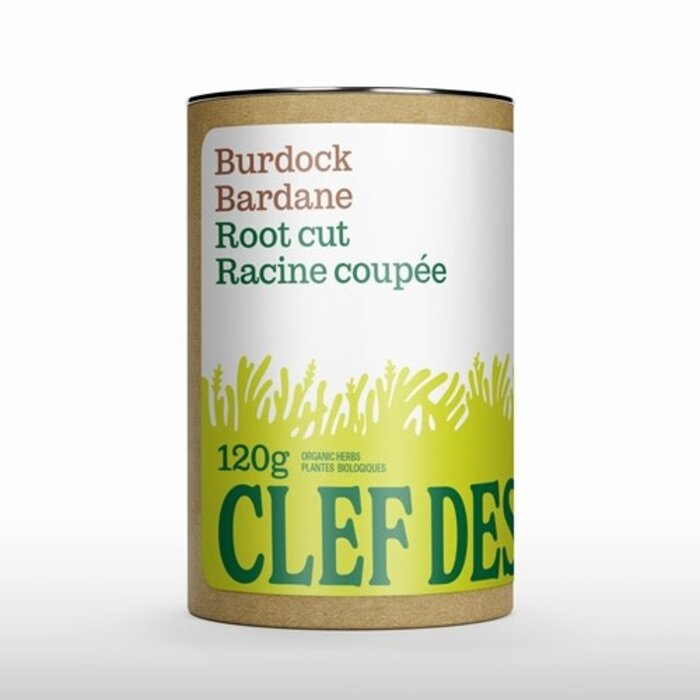 Bardane, racine coupée