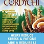 Cordychi