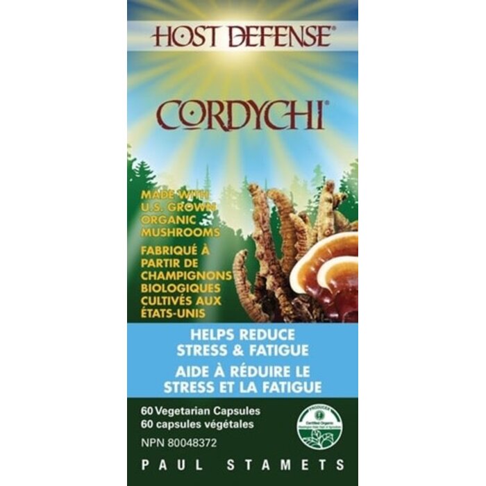 Cordychi