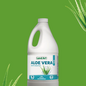 Aloe vera jus