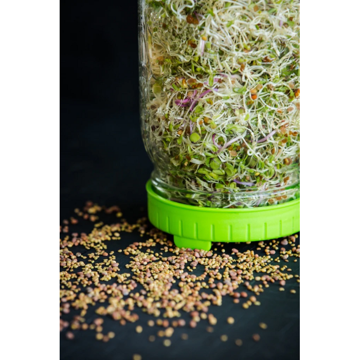 Germoir Le Germinateur