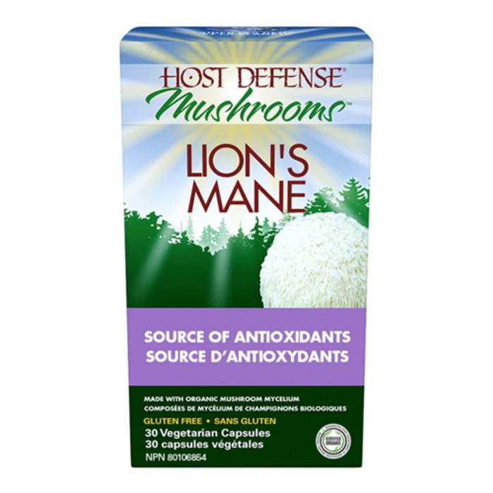 Lion's Mane (Hydne du hérisson) -