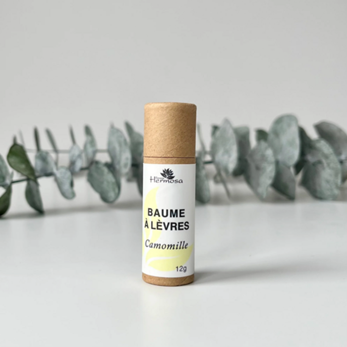 Baumes à lèvres 10 g -