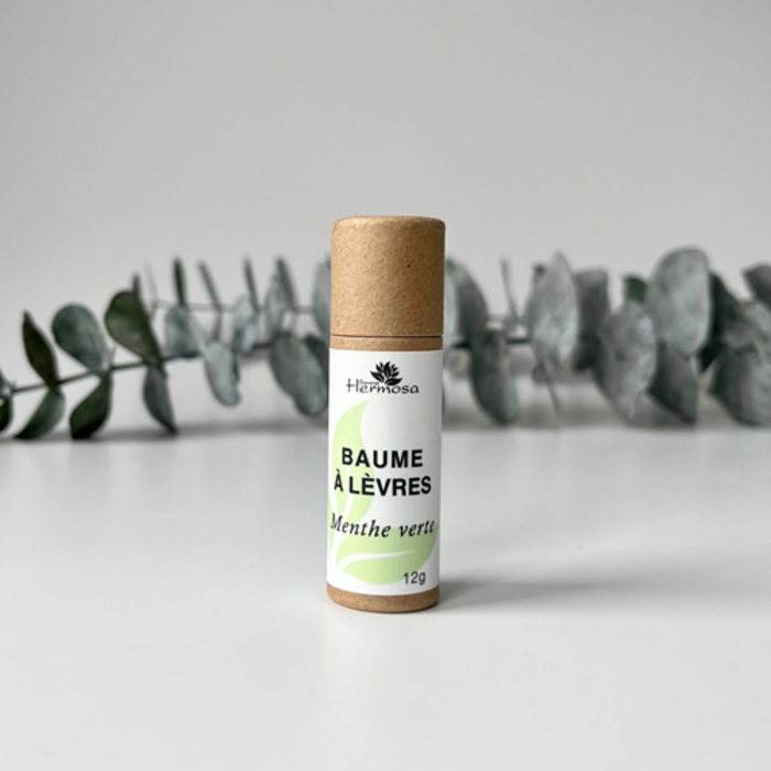 Baumes à lèvres 10 g -