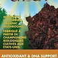 Chaga 60 capsules
