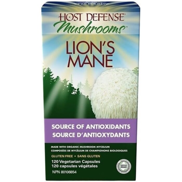 Lion's Mane (Hydne du hérisson) -