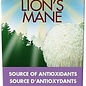 Lion's Mane (Hydne du hérisson) -