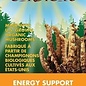 Cordyceps 60 capsules