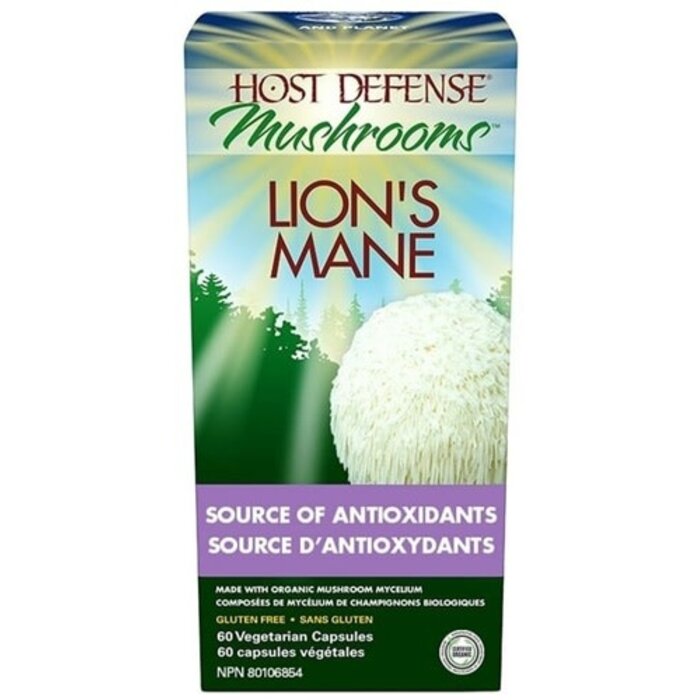 Lion's Mane (Hydne du hérisson) -