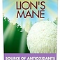 Lion's Mane (Hydne du hérisson) -