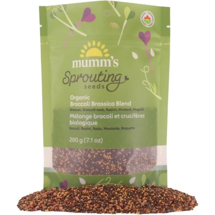 Mélange de brocoli/crucifère à germer bio 200g