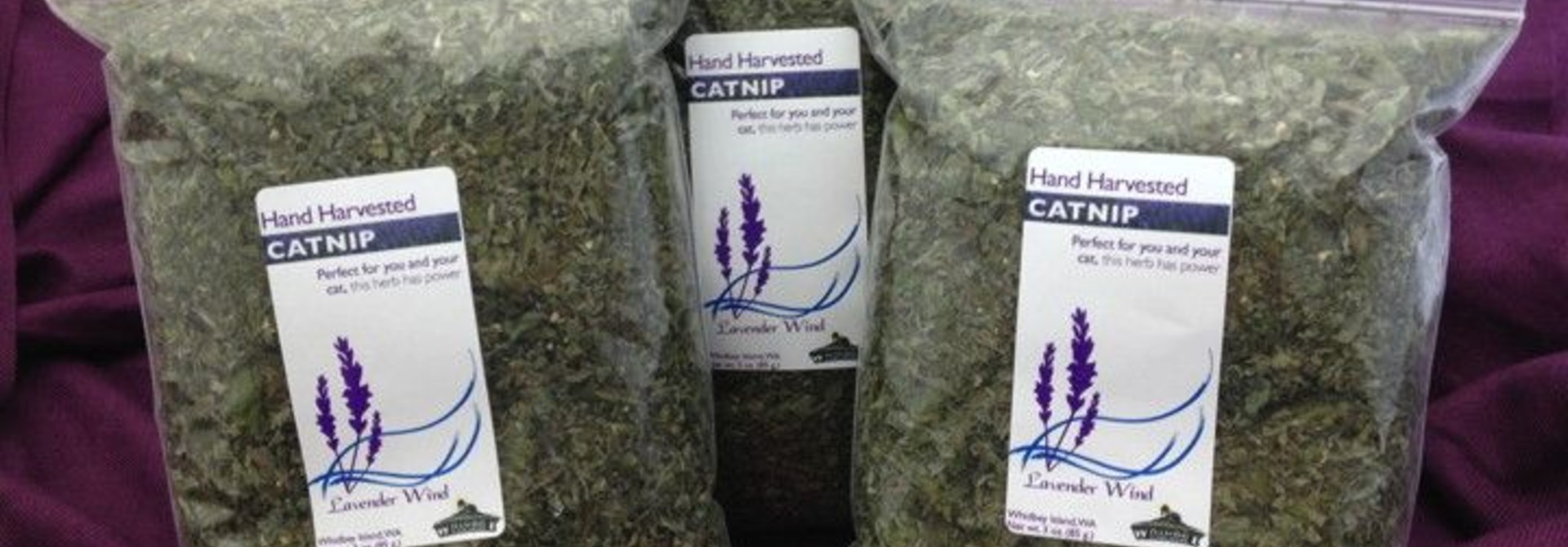 Catnip Dried - 1 oz.