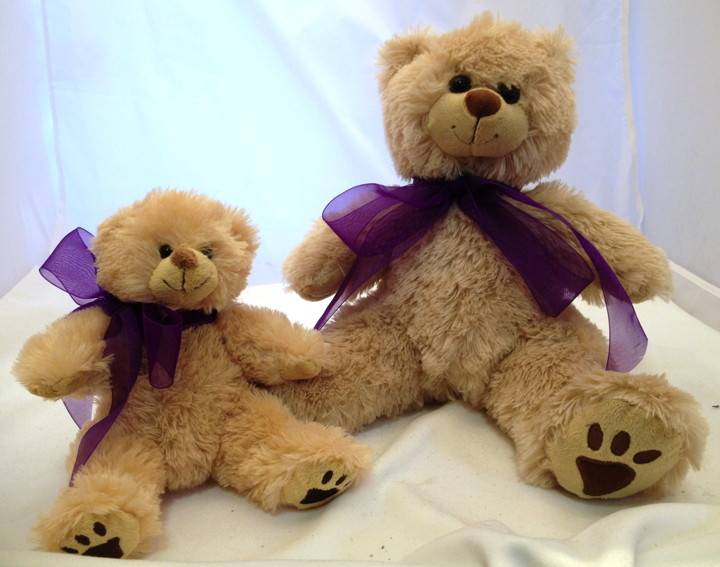 teddy bear furry