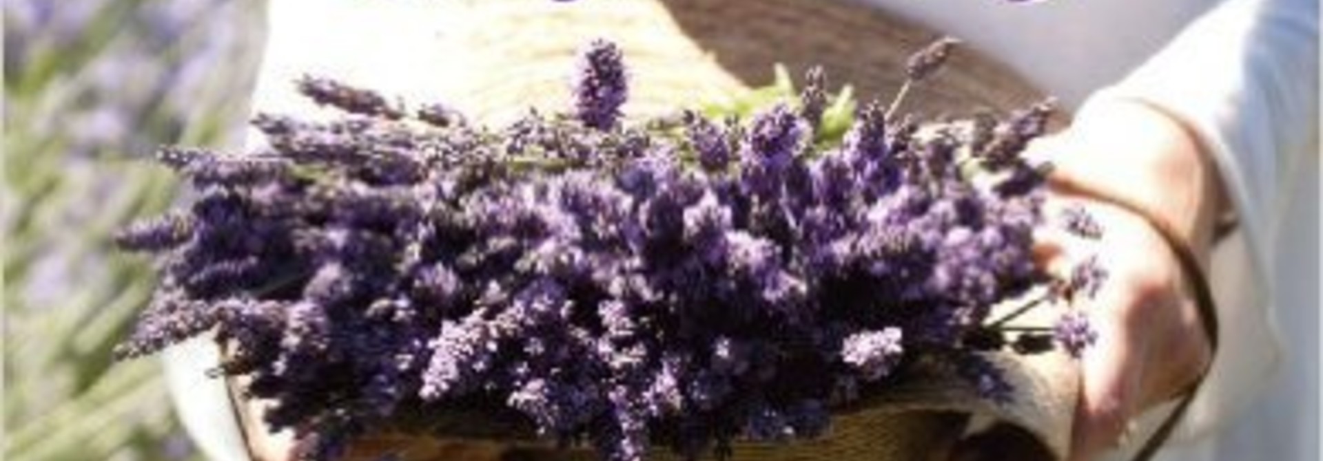 Book, Discover Cooking with Lavender