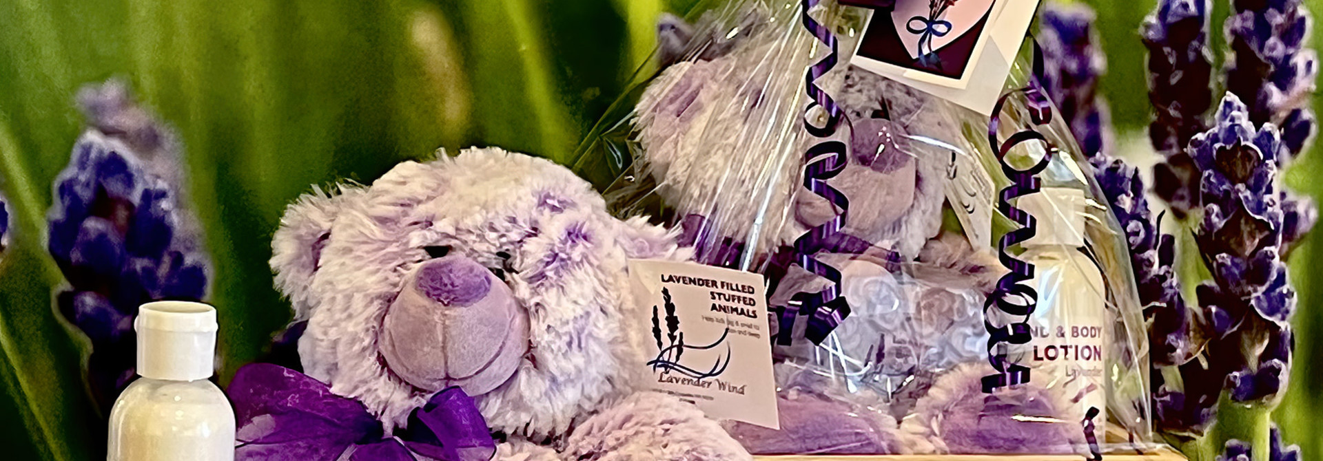 Loving Bear Gift Box