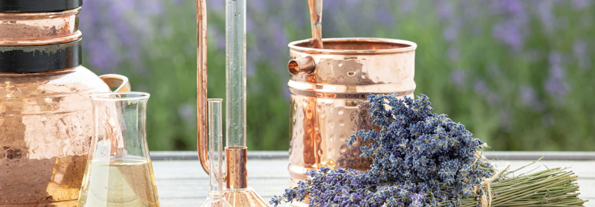 Lavender Sommelier Nose Training Workshop