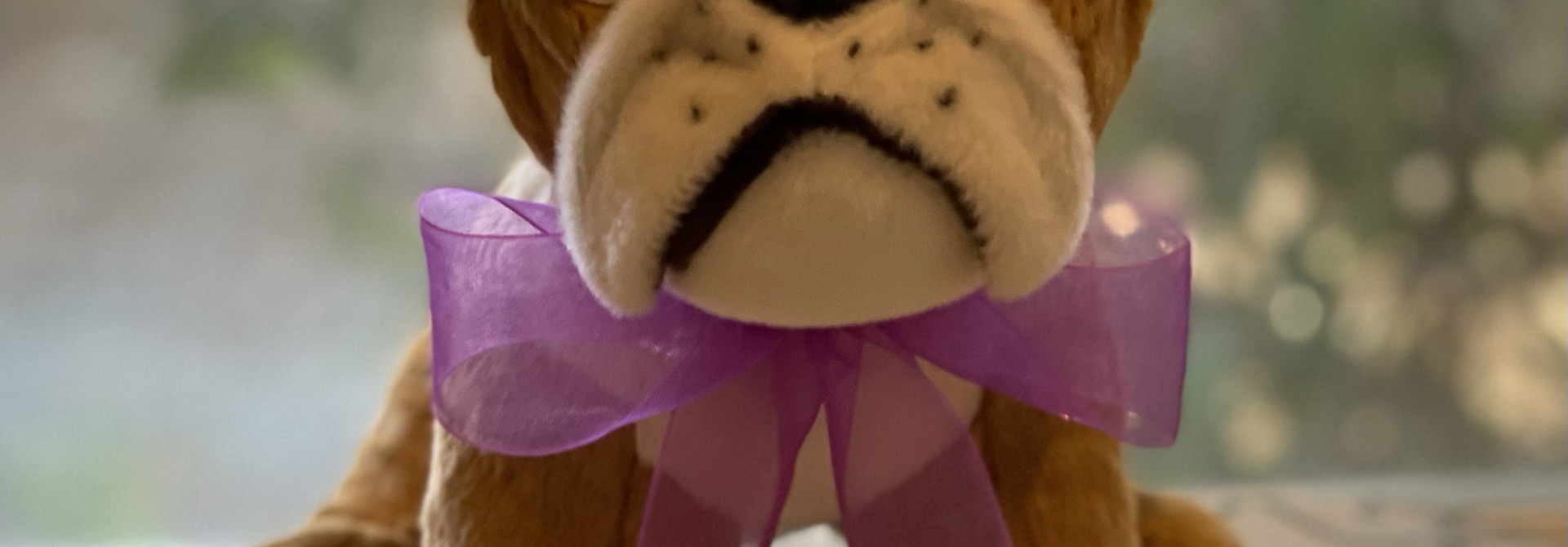 Stuffed Bulldog "Buddy", 8"
