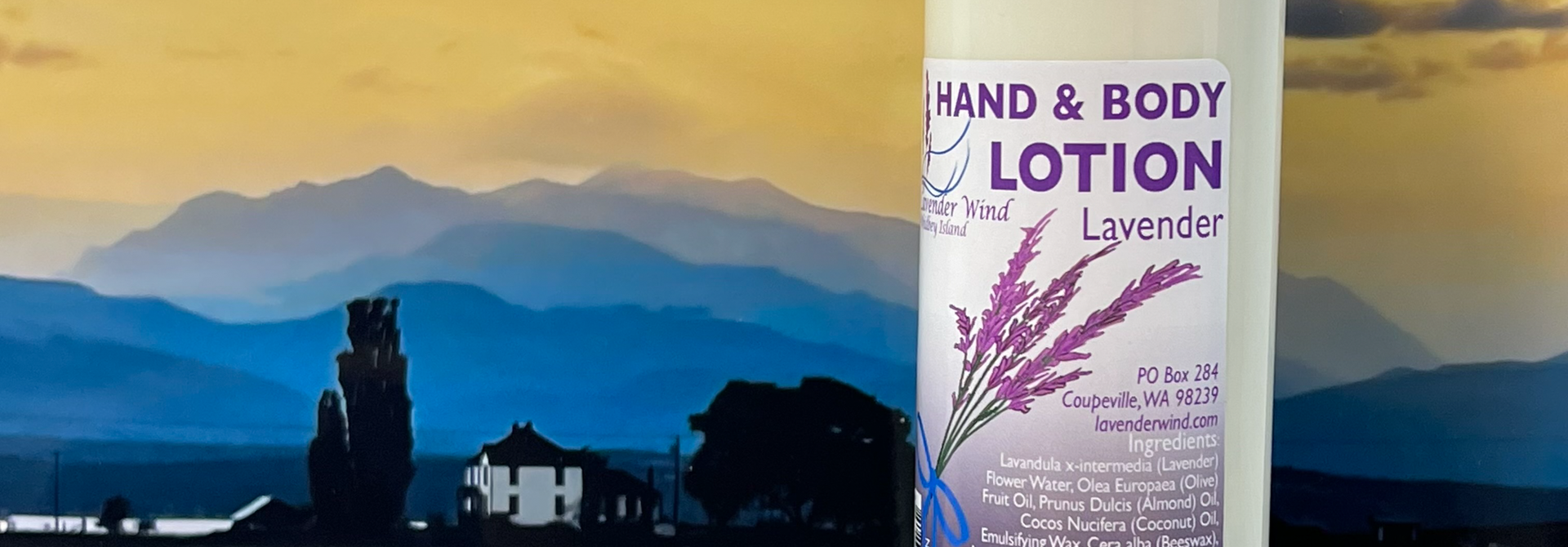 Lavender Hand & Body Lotion - Medium 6oz