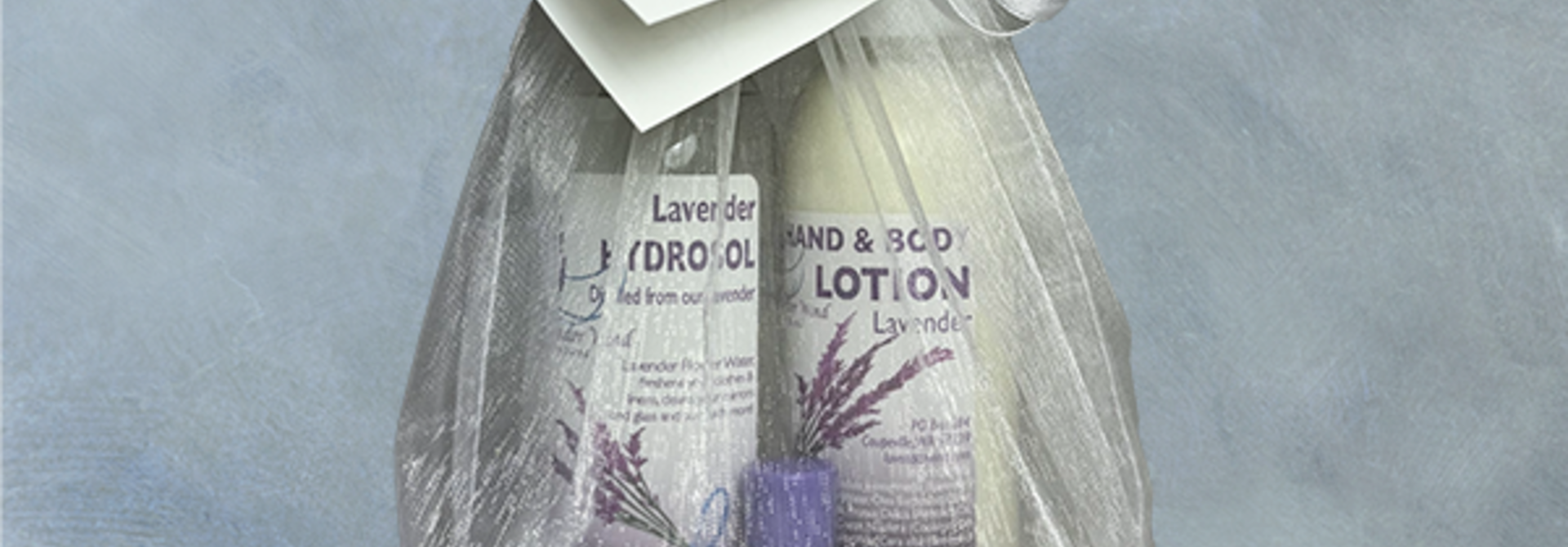 Gift Bag:  Lavender Skin Rejuvenation Kit