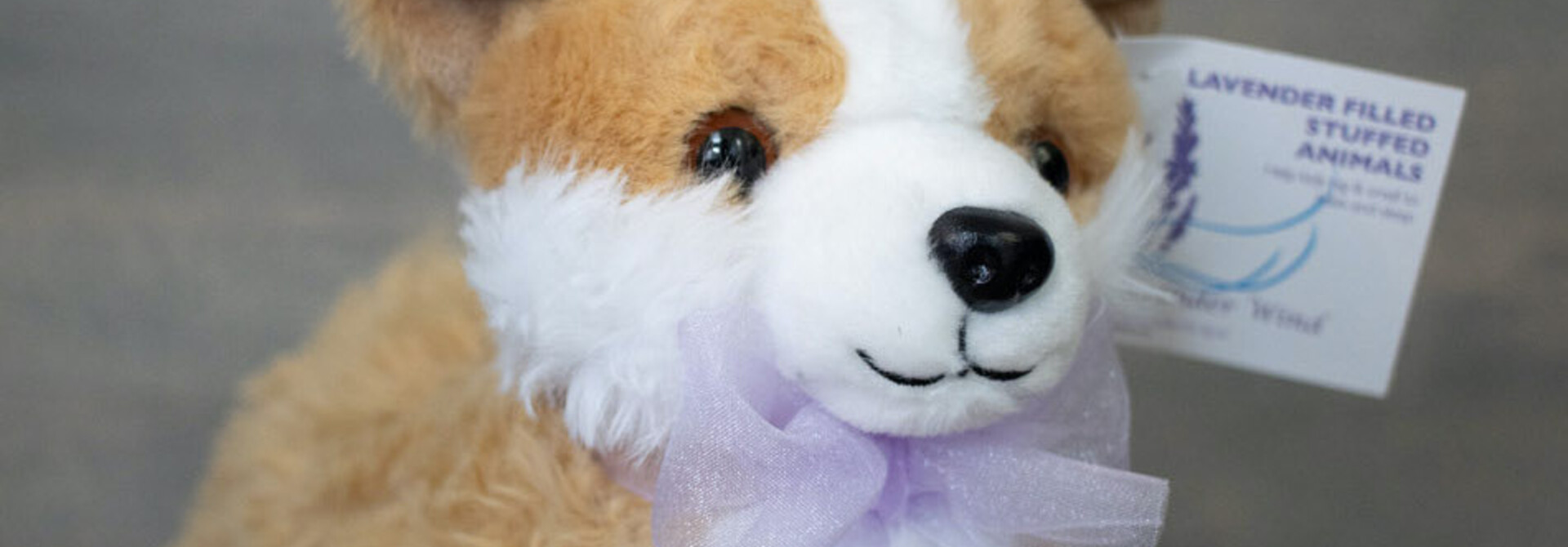 Lavender Stuffed Corgi Dog - Nugget 8"