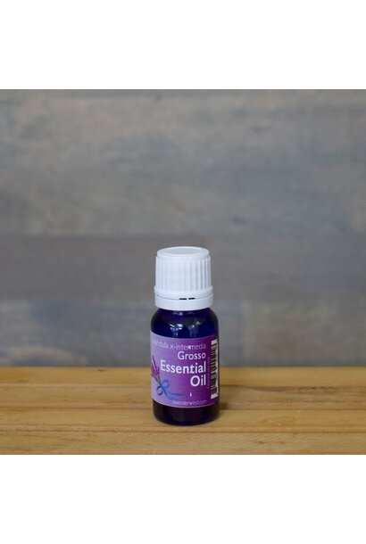 Lavender Essential Oil - Grosso 10 mL