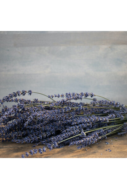 Large Bundle of Dried Lavender