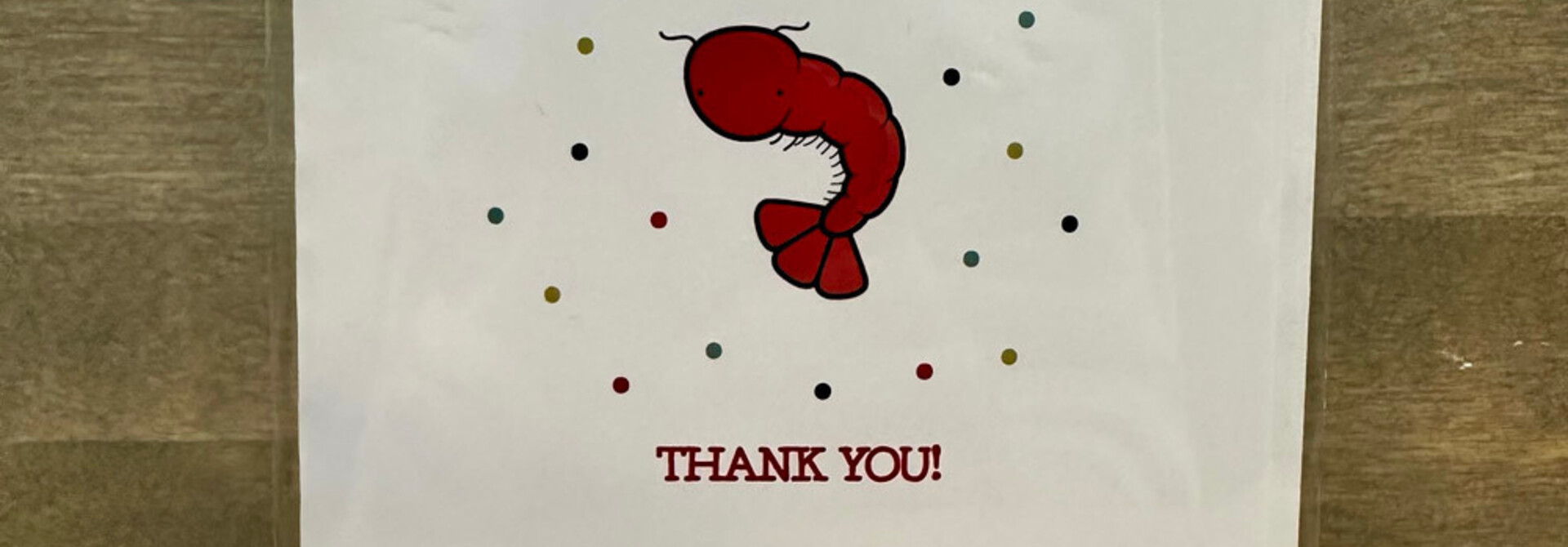 Elle Kay Thank You Cards