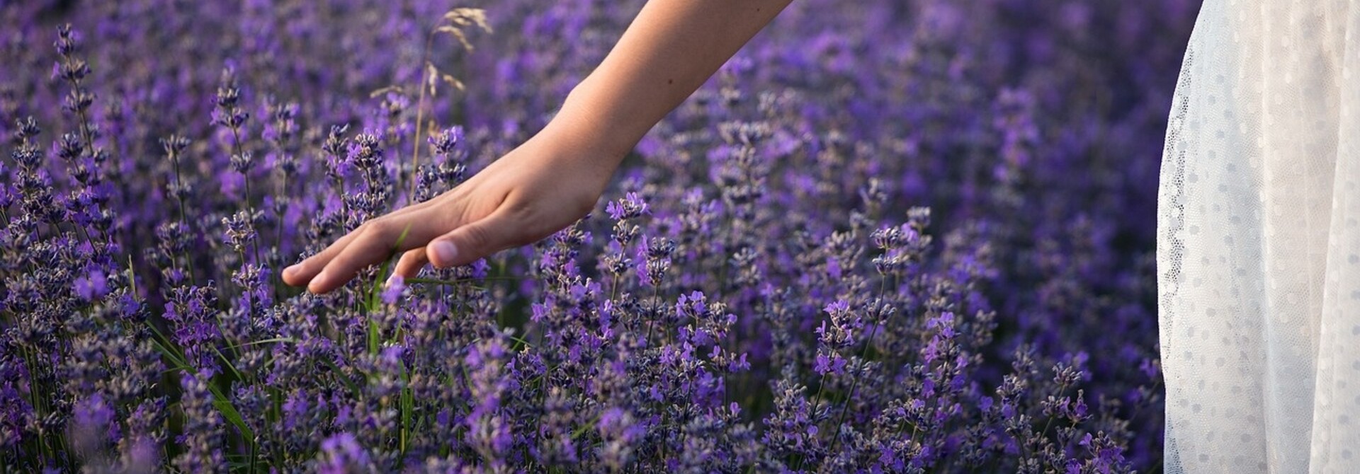 Lavender Muscle & Eye Soothers | Relaxing Relief