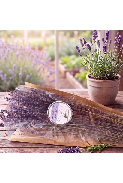 Large Bundle of Dried Lavender