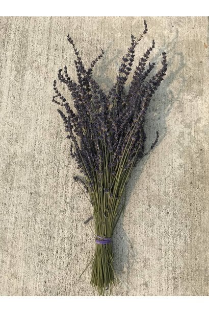 Dried Lavender Bundle
