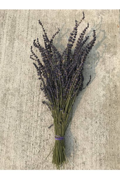 Dried Lavender Bunches — .