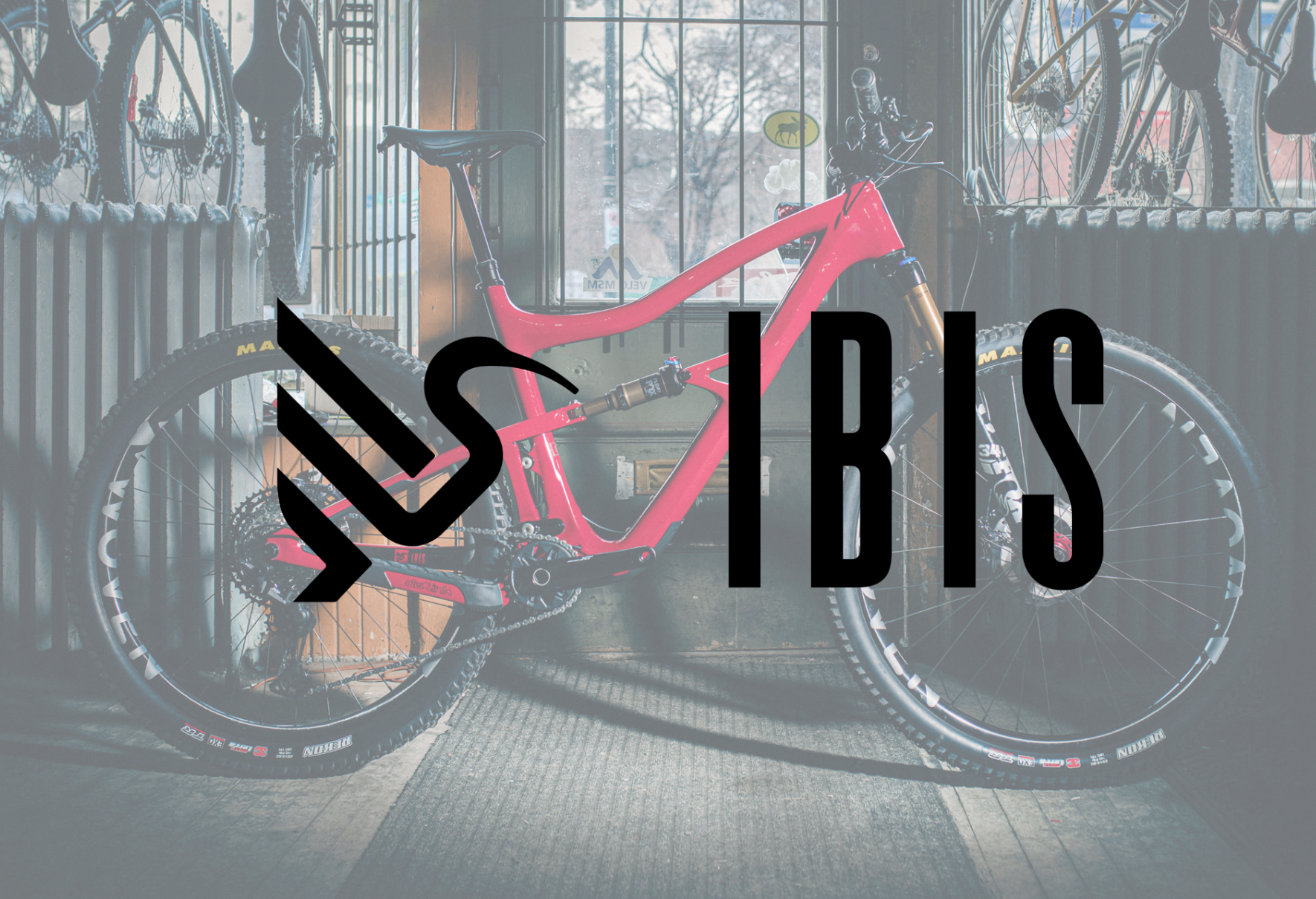 Ibis with Logo