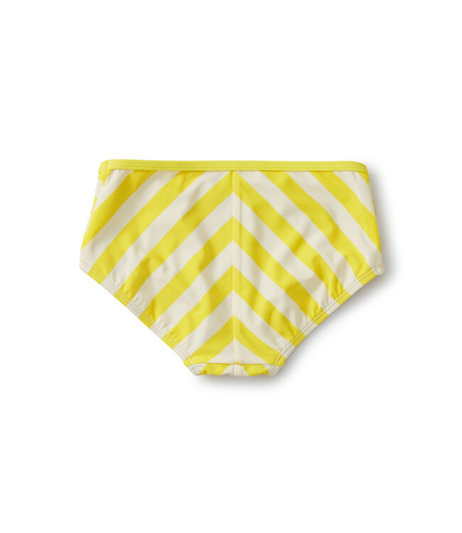 Tea Collection Striped Tankini Bottom