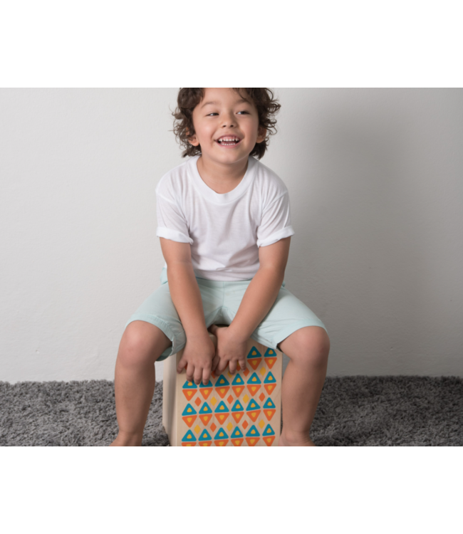 Plan Toys Rhythm Box II