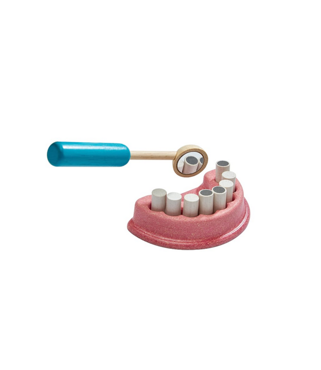 Plan Toys Dentist Set
