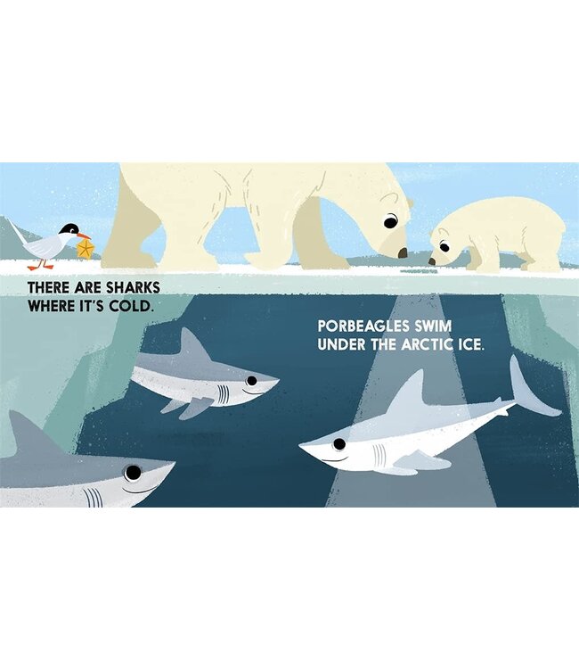 Abrams-Stewart Tabori & Chang Shark Block