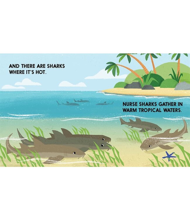 Abrams-Stewart Tabori & Chang Shark Block